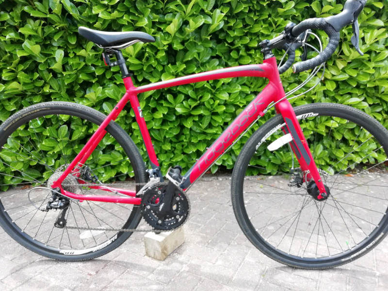 gravel ridgeback